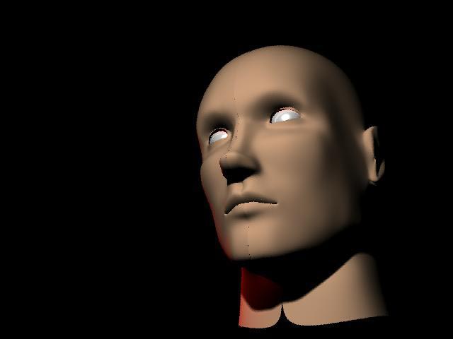 bobhead2