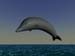 drewdolphin