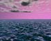 drewoceansky